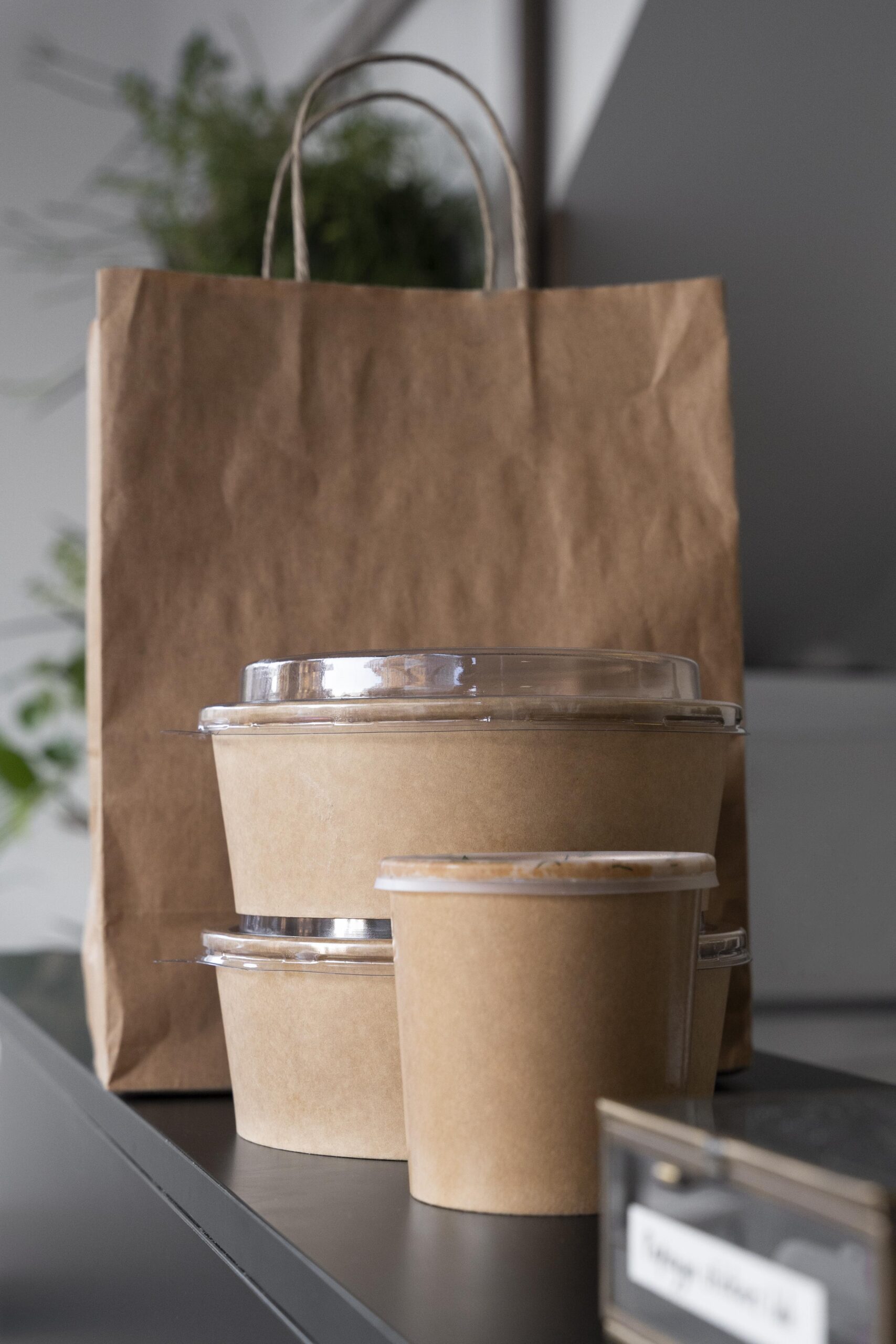 front-view-packed-food-prepared-takeaway